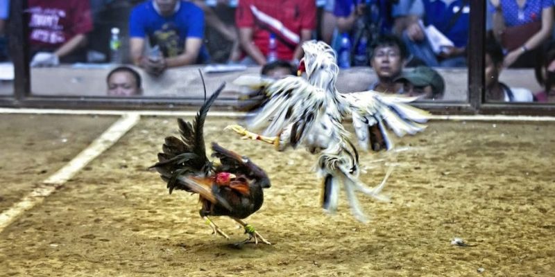 kubet88 ﻿đăng nhập lô đề uy tín