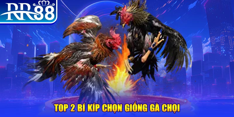 kubet88 bắn cá h5