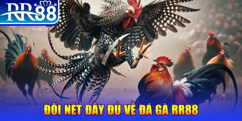 kubet88 gà chọi hoà phong