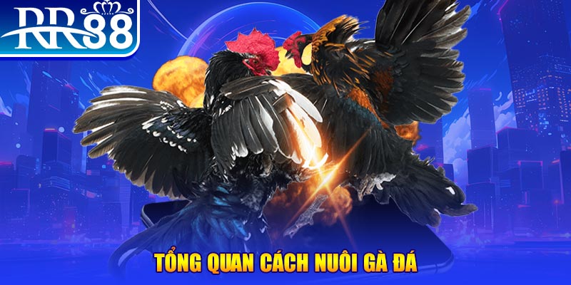 kubet88 xổ số thứ ba