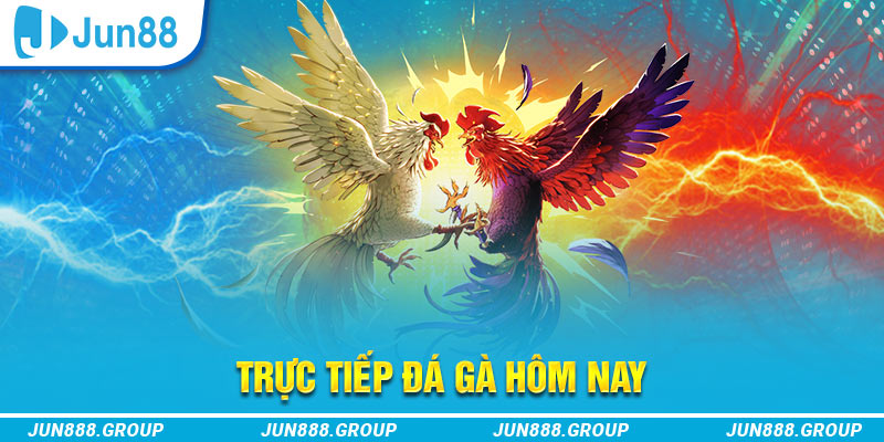 kubet88 trực tiếp đá gà thomo