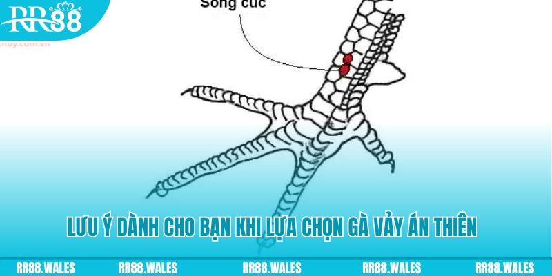 kubet88 xổ số khánh hòa