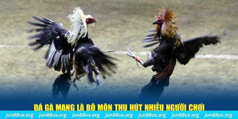 kubet88 xổ số long an