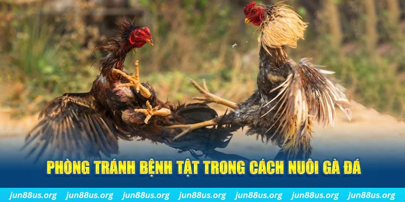kubet88 natural” trong baccarat nghĩa là gì？